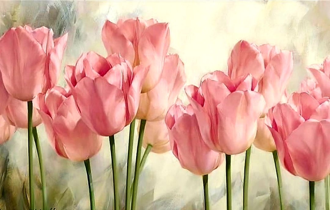 Розовые тюльпаны - цветы, природа - оригинал