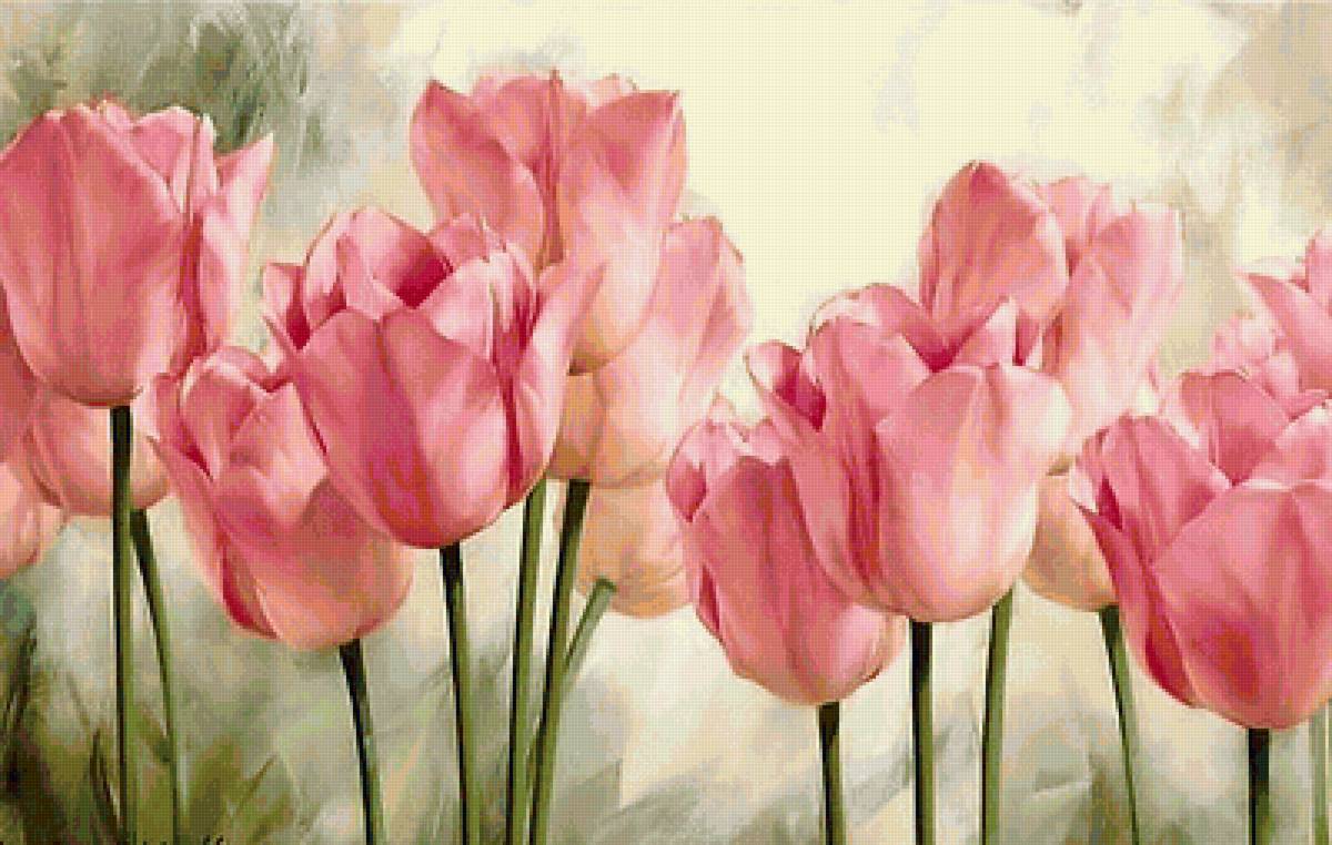 Розовые тюльпаны - цветы, природа - предпросмотр