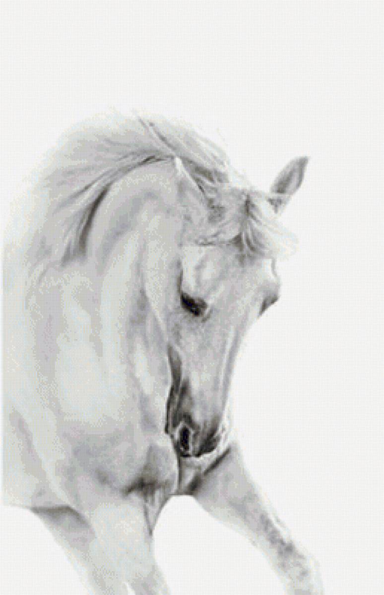 Триптих 14в - лошадь - предпросмотр