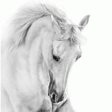 Схема вышивки «Триптих 14в»