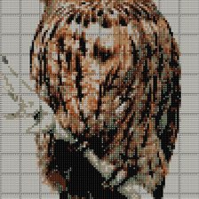Схема вышивки «Сова»