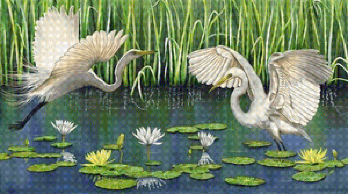 цапли - животные - предпросмотр