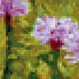 Предпросмотр схемы вышивки «Луговые травы. Алексей Аникин» (№2339873)