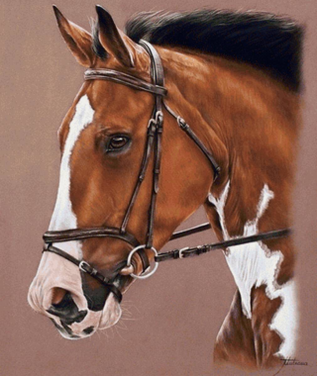 Cavalo. - animais. - предпросмотр