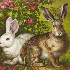 Схема вышивки «Coelhos.»