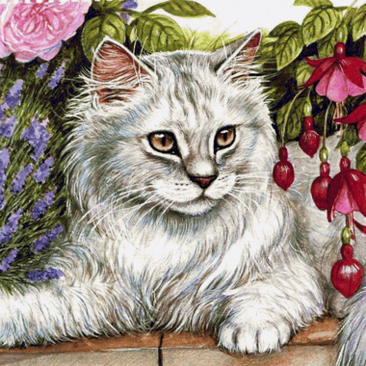 Gato. - animais.flores. - предпросмотр