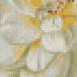 Предпросмотр схемы вышивки «Boque de flores.» (№2340003)