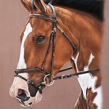 Схема вышивки «CABALLO»