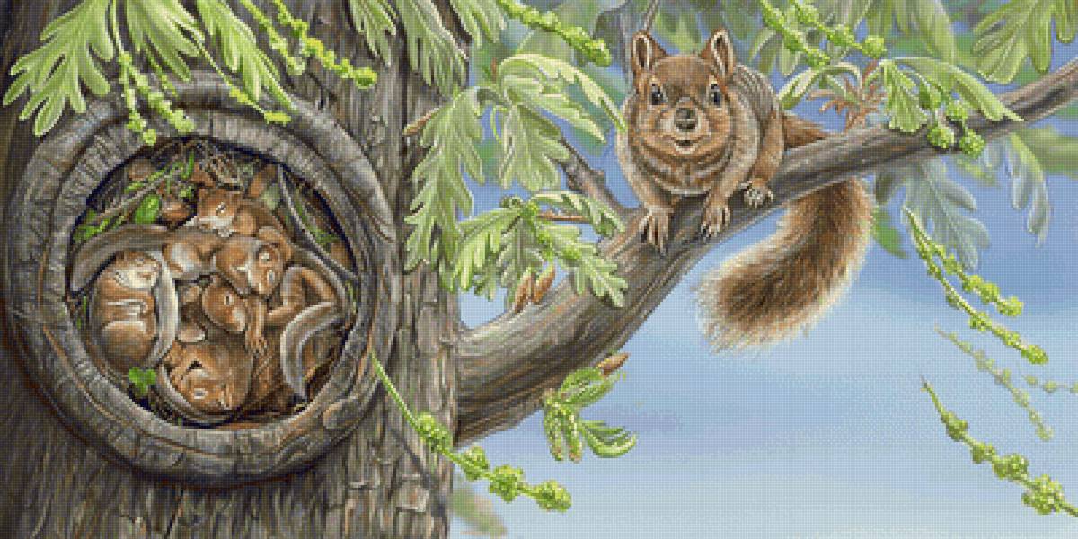 №2340273 - белки - предпросмотр