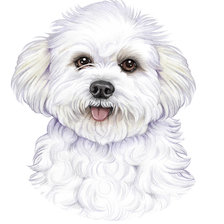 Схема вышивки «№2340290»