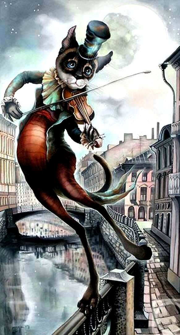 1 - скрипка, соколова, котик - оригинал