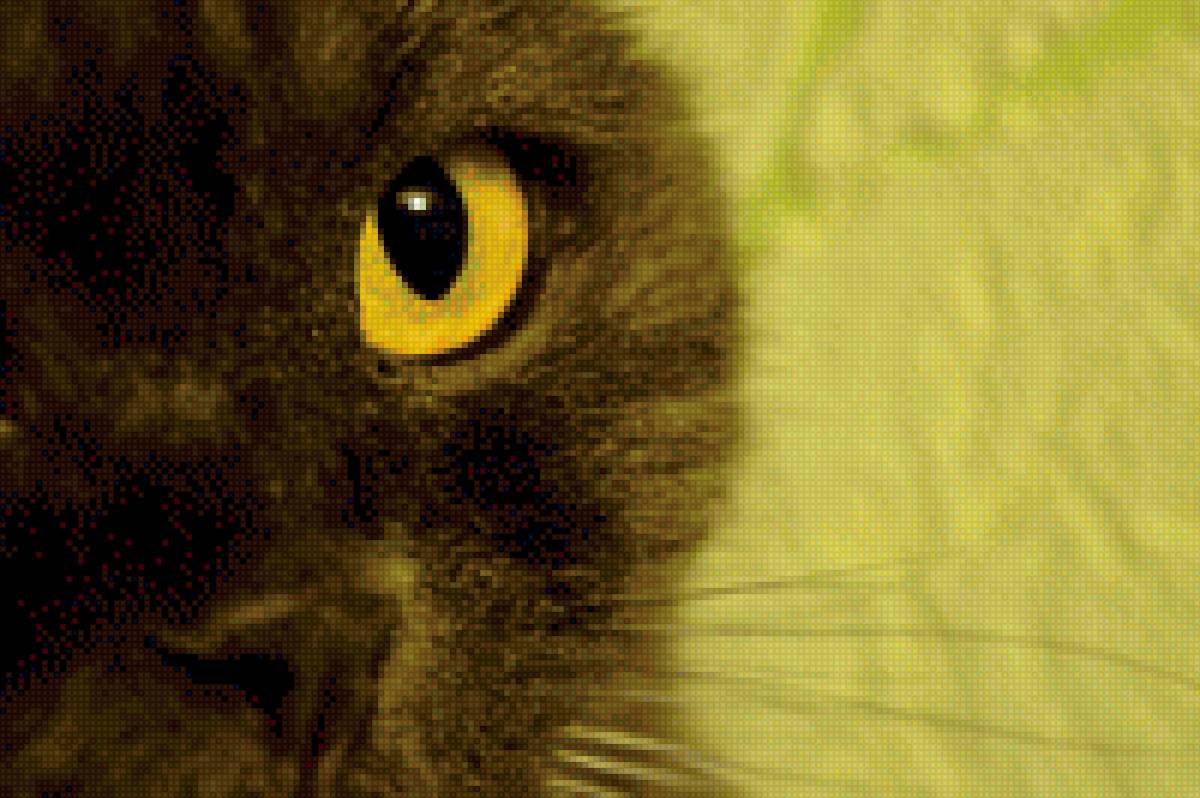 Взгляд - предпросмотр