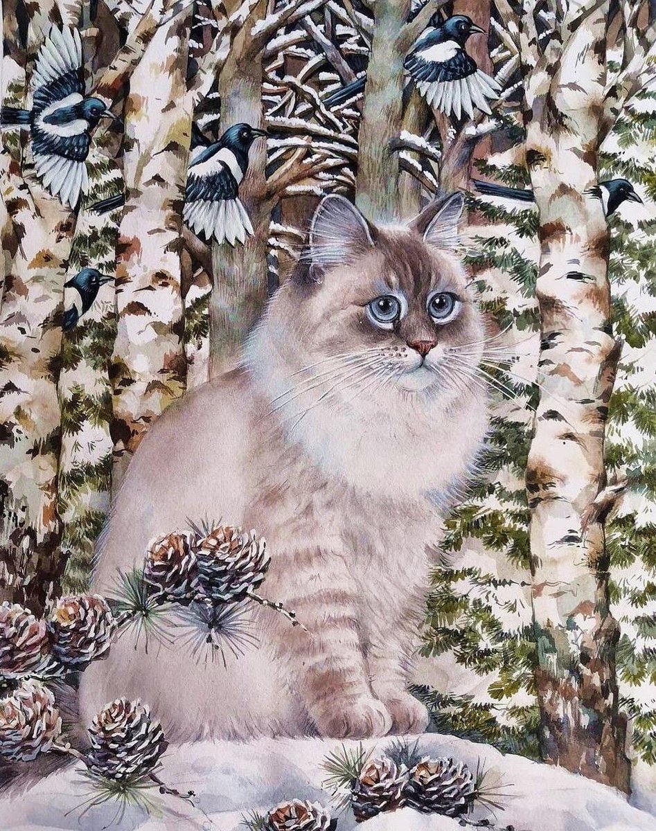 Gato. - animais .floresta .pássaros. inverno. - оригинал