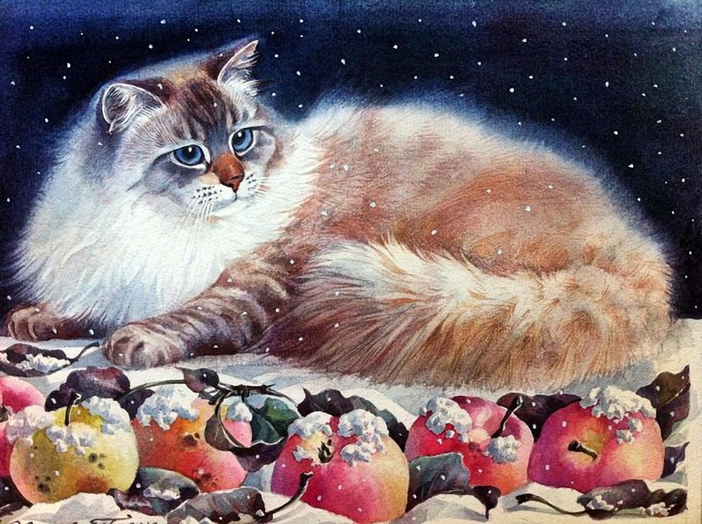 Gato. - animais.frutas.inverno. - оригинал
