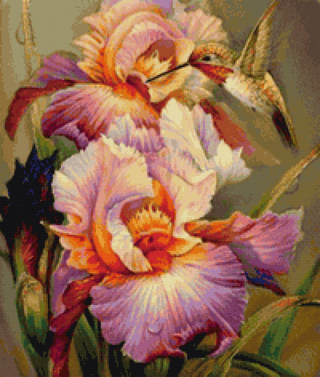 Ирисы с Колибри - колибри, ирисы, ирис - предпросмотр