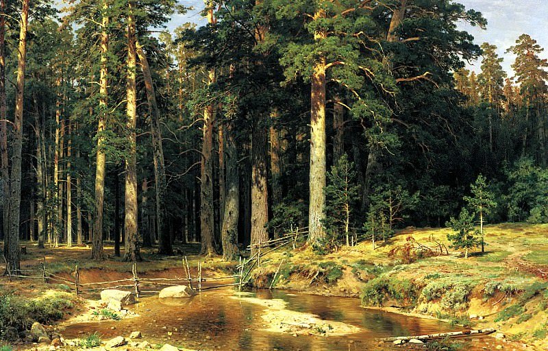 Роща - лес.ручей.сосны - оригинал