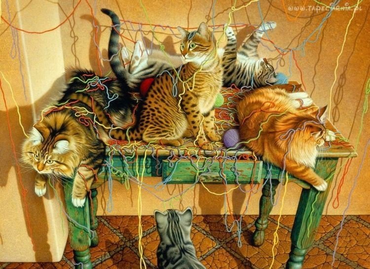 кошки - кошки - оригинал