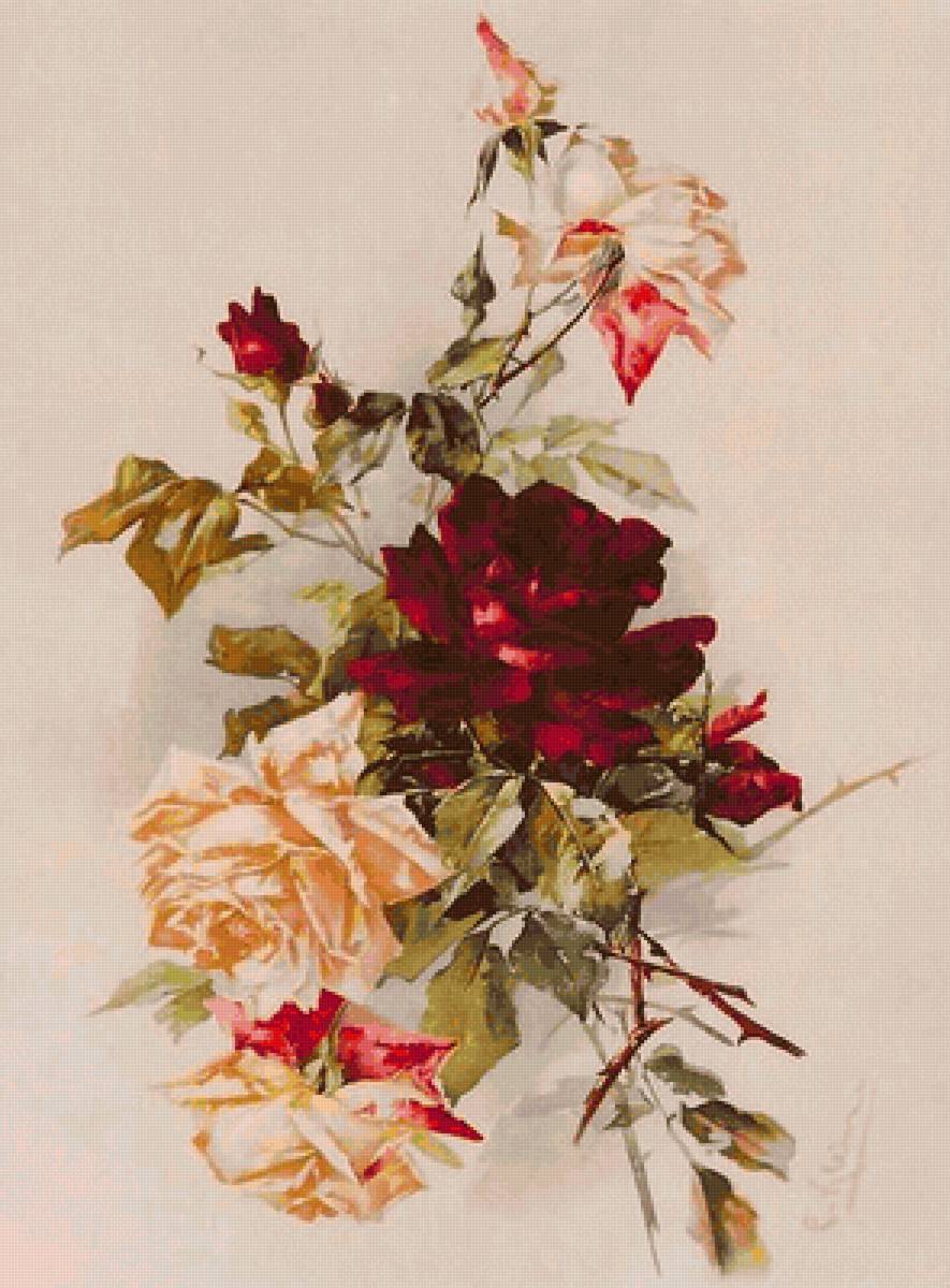 Розы - предпросмотр