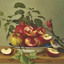 Pássaro e frutas.
