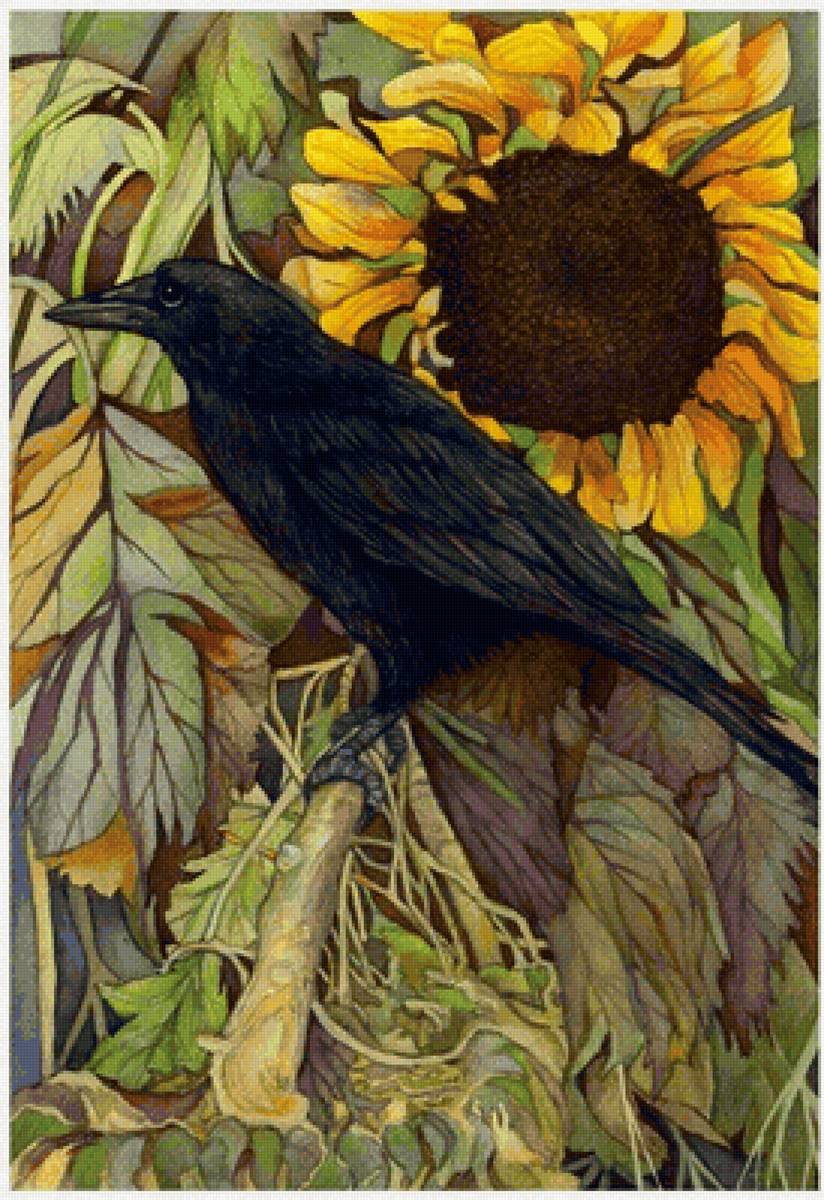 Corvo . - pássaro, flores. - предпросмотр