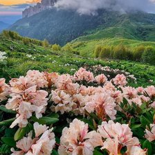 Схема вышивки «№2342696»