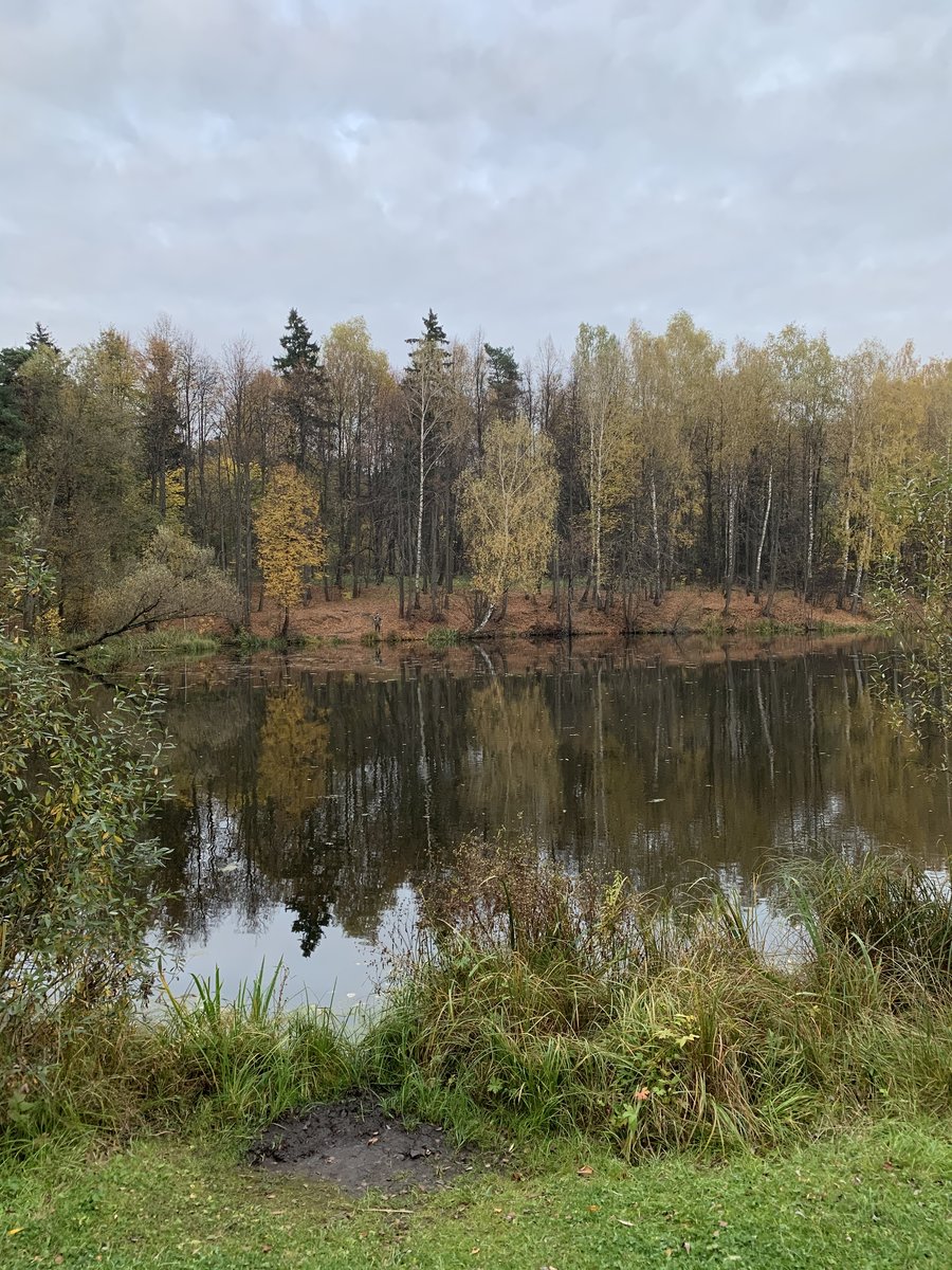 Природа - река, природа - оригинал