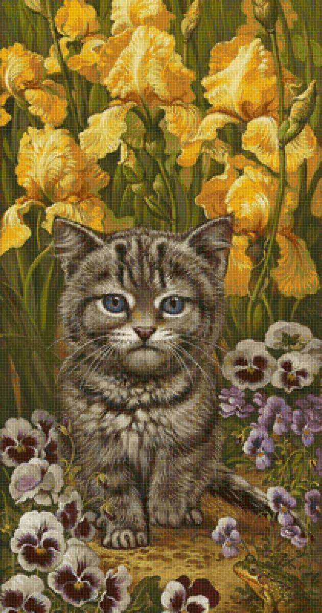 Gato. - animais.flores . - предпросмотр