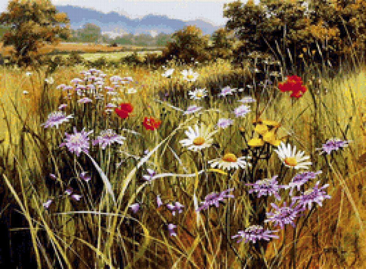 Полевые цветы - пейзаж, поле, мэри дипнолл, цветы, луг - предпросмотр