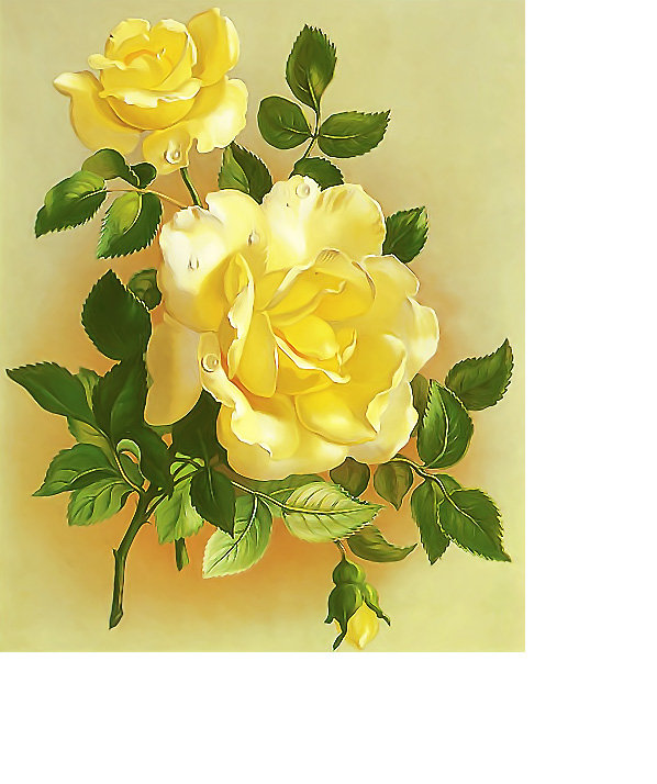 Серия "Розы" - розы, цветы, флора - оригинал