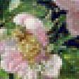Предпросмотр схемы вышивки «Розы» (№2343730)