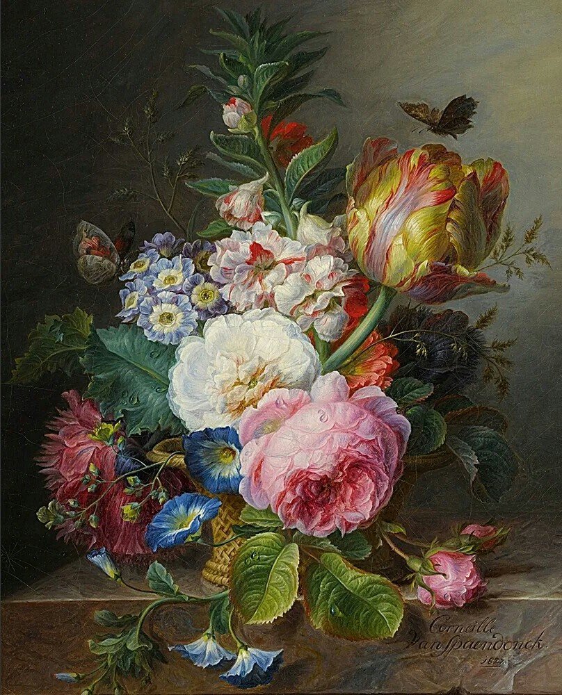 206 - ale - оригинал