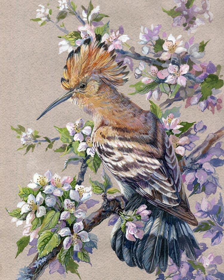 Художник Tiwel_owl - художник, животный мир, животные, птицы, птица, цветы - оригинал