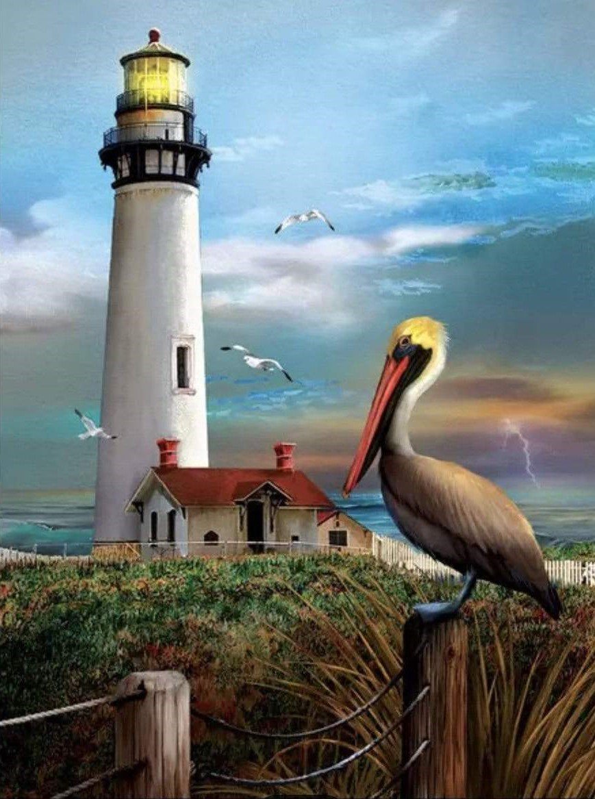 Pelicano - paisaje - оригинал