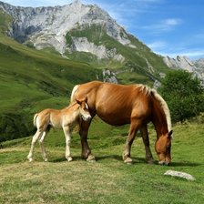 Схема вышивки «№2345667»