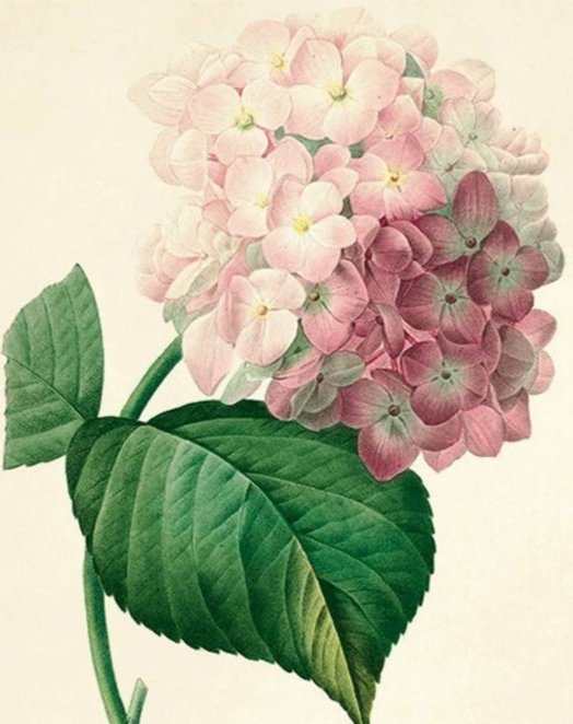 Цветок - цветок - оригинал