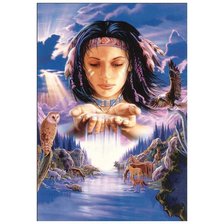 Схема вышивки «india»