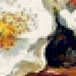 Предпросмотр схемы вышивки «Цветы» (№2346262)