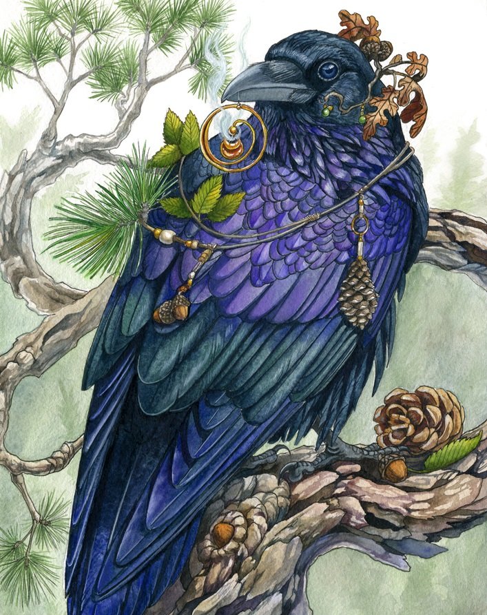 Corvo. - pássaro. - оригинал