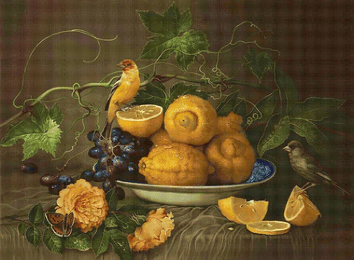 Pássaro e frutas. - flores.frutas., pássaro - предпросмотр