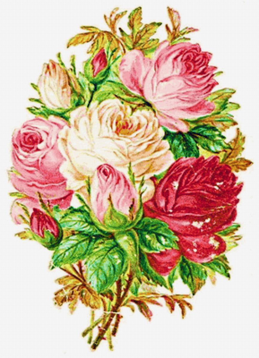 Boque de rosas. - rosas. - предпросмотр