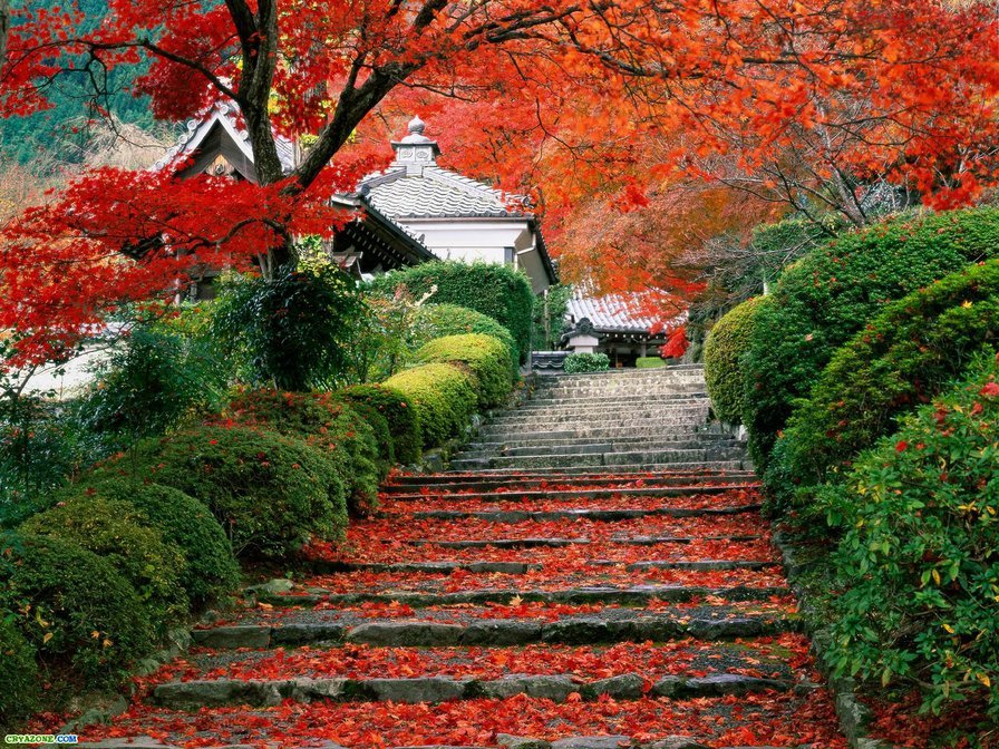 Лестница аллеи в Японии - япония, лестница, аллея - оригинал