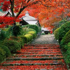 Лестница аллеи в Японии
