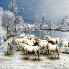 Схема вышивки «los blancos»