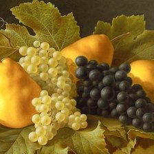 Схема вышивки «Натюрморт»