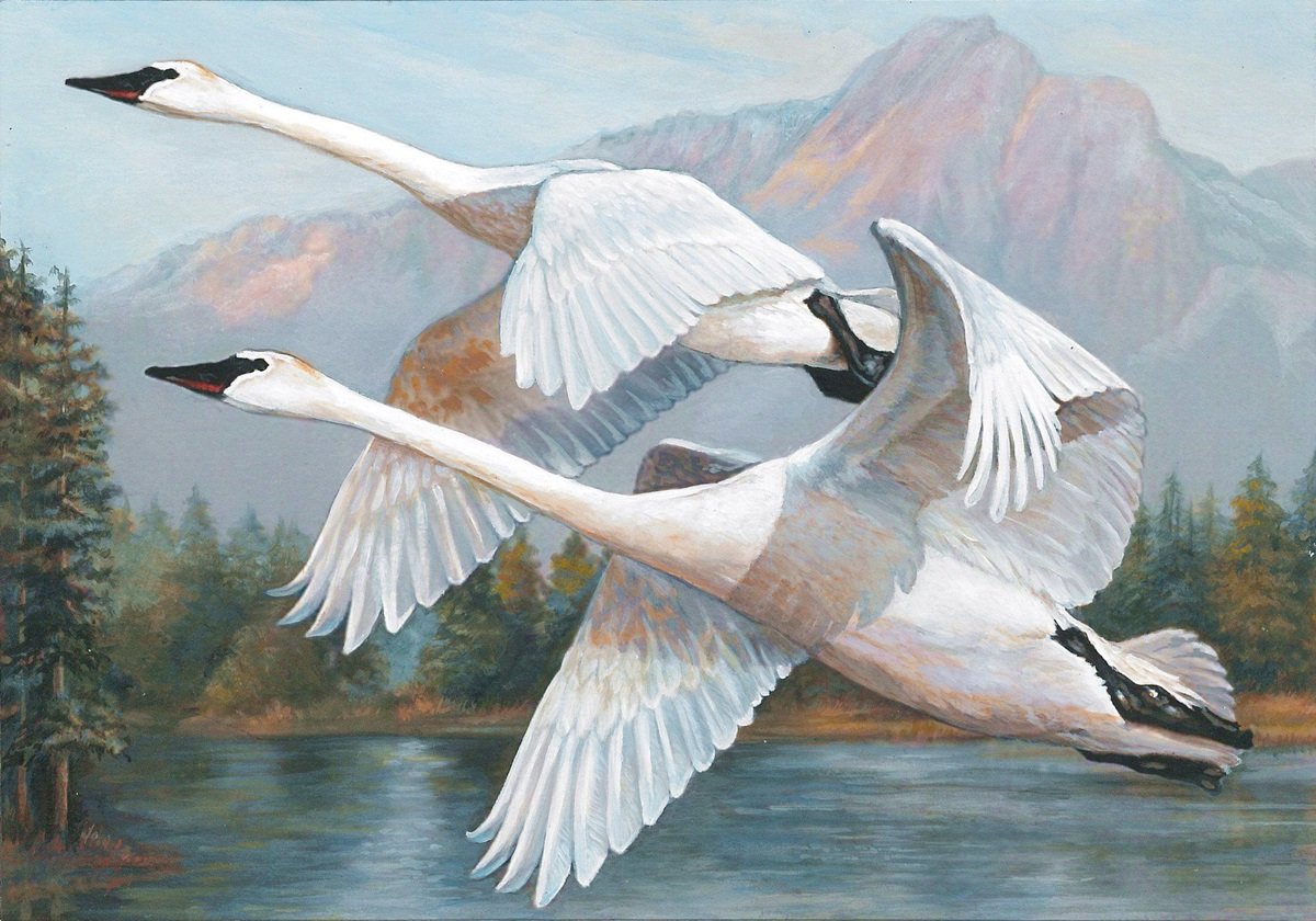 Pássaros. - pássaro.pintura. - оригинал