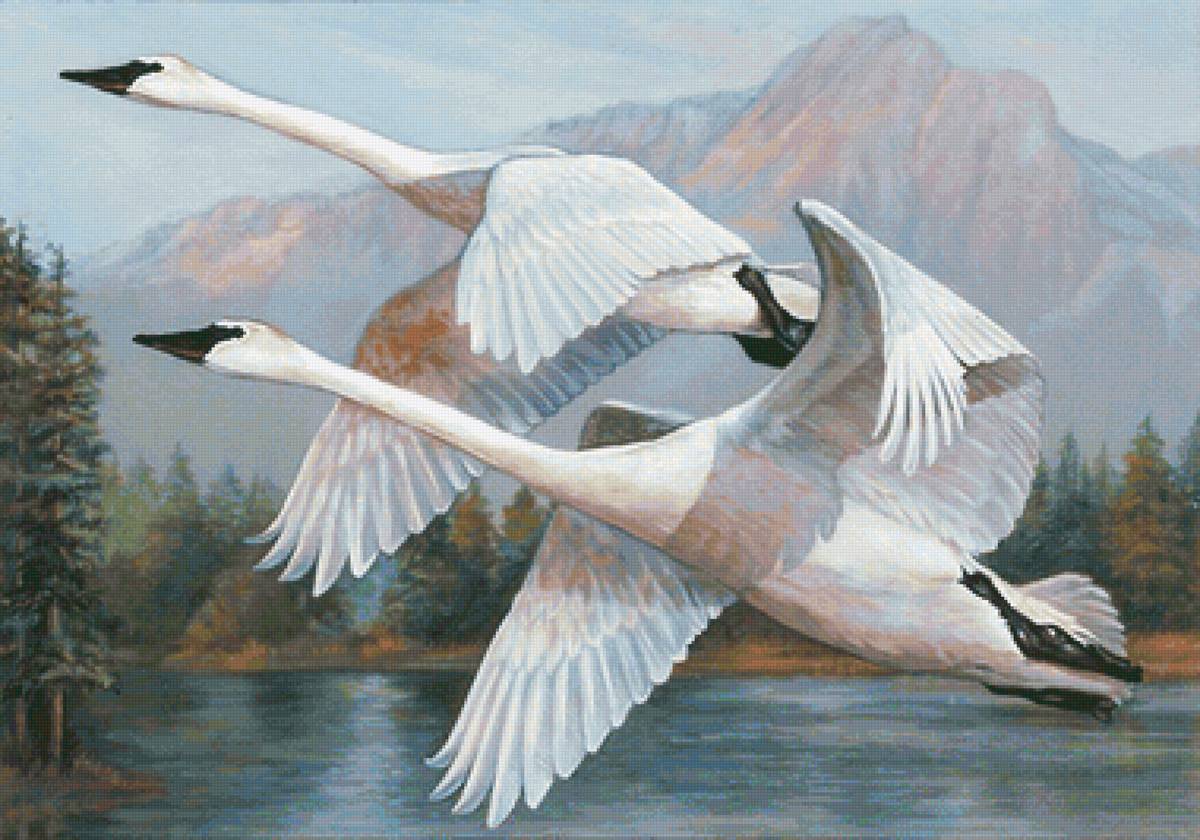 Pássaros. - pássaro.pintura. - предпросмотр