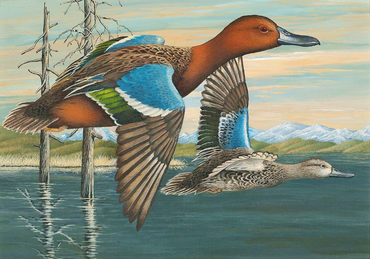 patos . - aves.pintura.lago. - оригинал