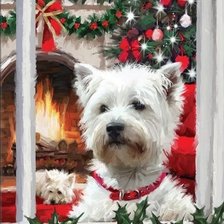 Схема вышивки «PERRRITOS BLANCOS»