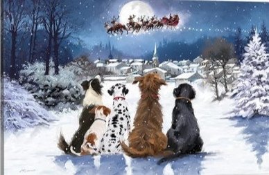 AMIGOS8 - navideño - оригинал