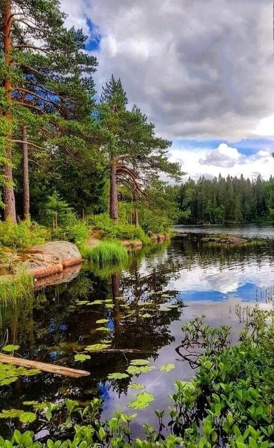 Нетронутый уголок природы.Эрик Ховряков - природа - оригинал